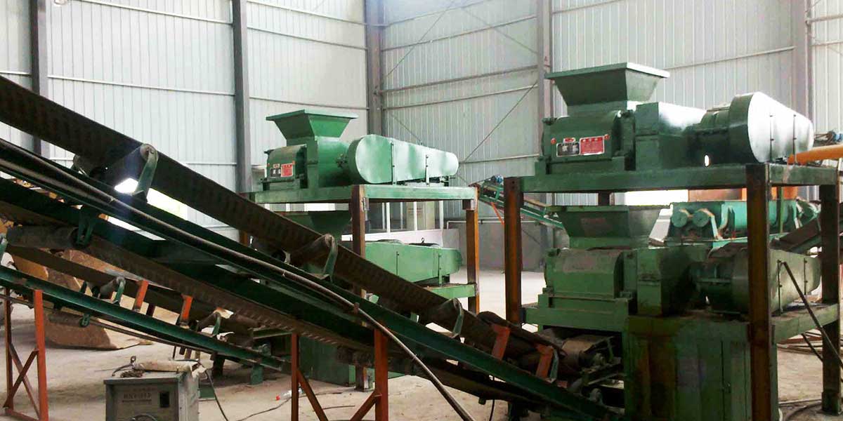 2.2-50 t/h Briquette Press Plant in Tanzania