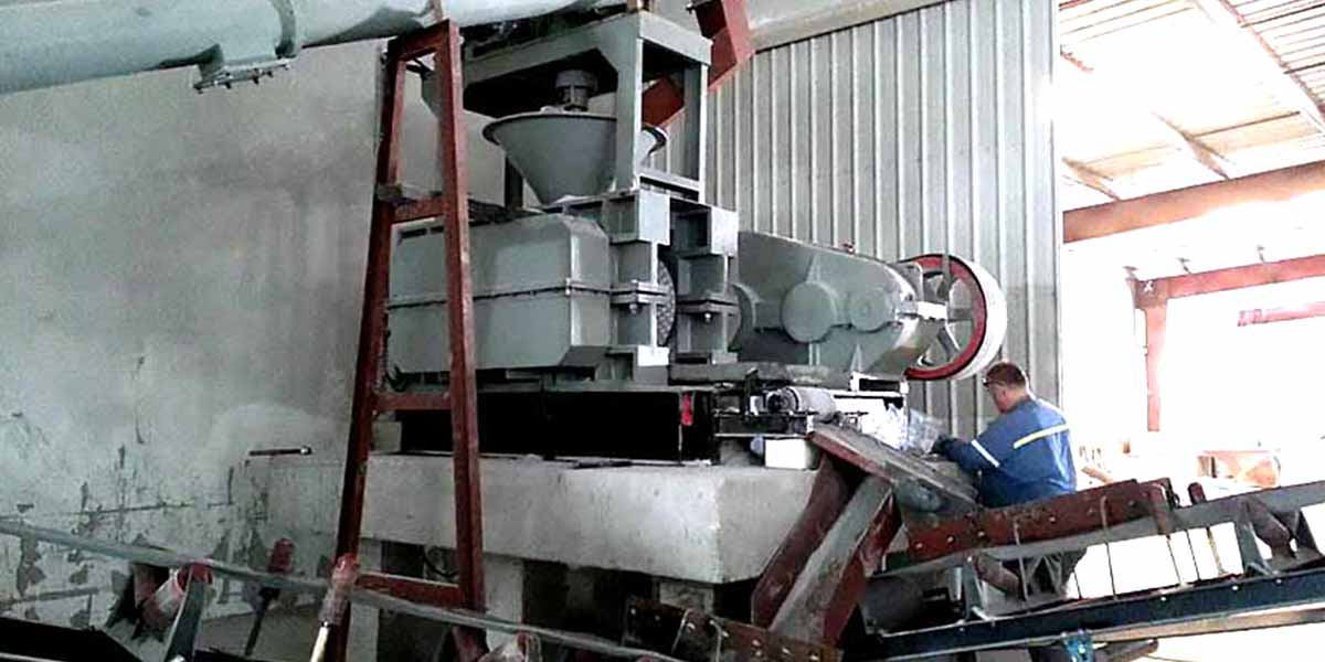 5t/h Briquette Machine in Indonesia